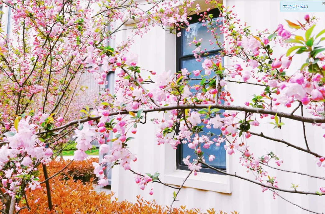 1726284221412816.png image.png